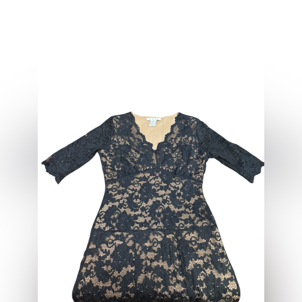 CAbi Black Lace Midi Dress Size Small Sheer Overlay Nude Lining Feminine Gothic - Picture 10 of 12